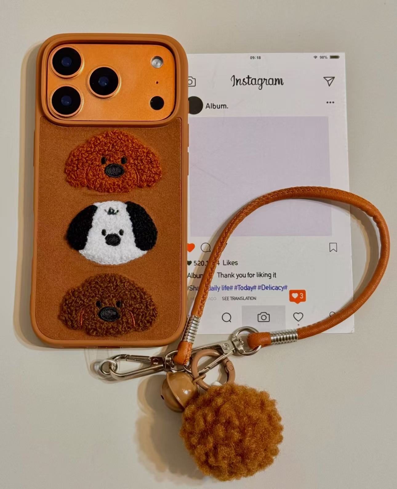 iPhone case