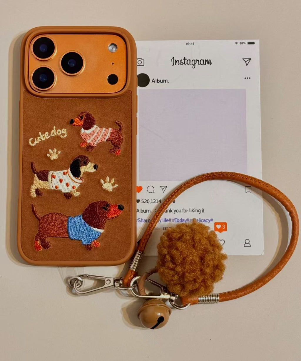 iPhone case